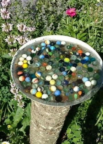 Waterbad voor bijen en vlinders 