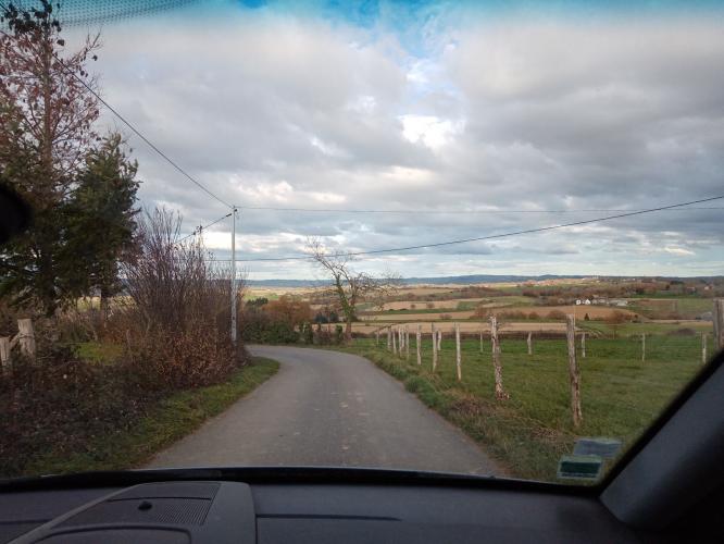 Een versoepelde lockdown