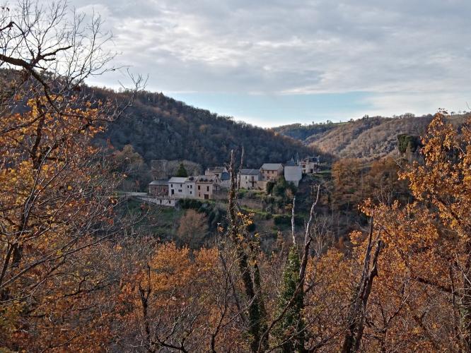 Een versoepelde lockdown