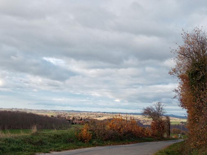 Een versoepelde lockdown
