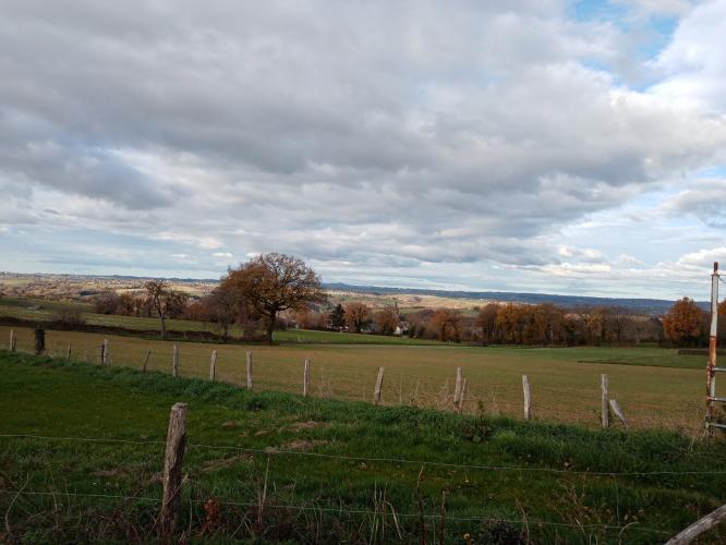 Een versoepelde lockdown