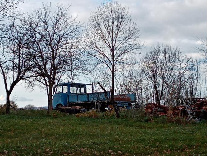 Een versoepelde lockdown