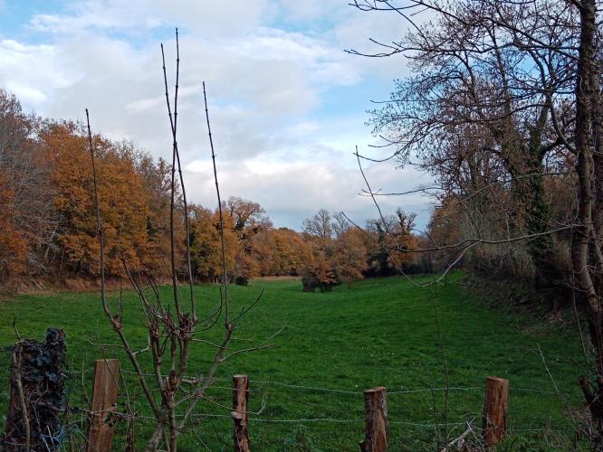 Een versoepelde lockdown