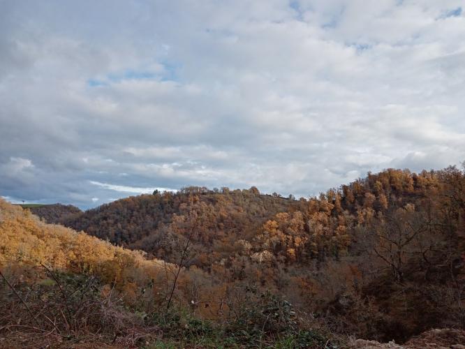 Een versoepelde lockdown