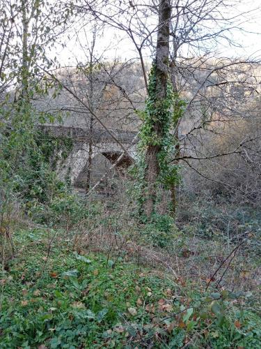 Een versoepelde lockdown