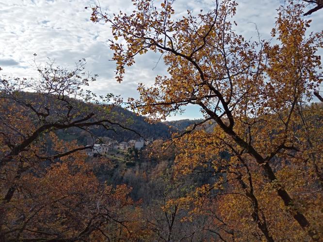 Een versoepelde lockdown