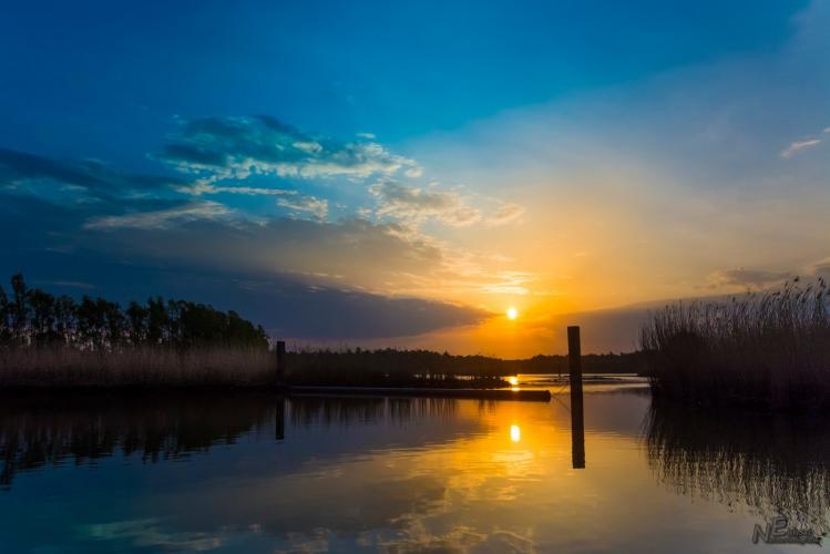 Auf der Suche nach dem Biber