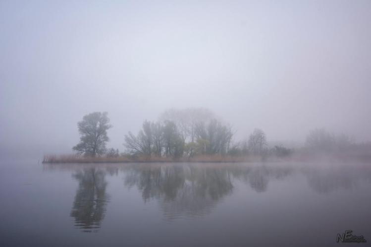 Mistige ochtend