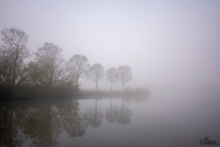 Mistige ochtend