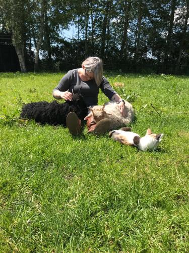 <a class="removable-mention" data-mentionid="159575" href="/useroverview/159575/lildella10">@lildella10</a> voor alle dieren die we hebben.... 😘