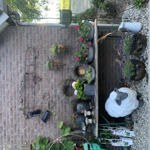 Ik heb eindelijk een hoekje waar ik lekker bloemetjes heb kunnen neerzetten....  we wonen nu  ruim 3 jaar in de boerderij met 8000m2 tuin/land. Ook zijn we al die tijd bezig met opruimen en aanleggen. Vandaag gaan we weer een gedeelte aanpakken. Zo komt er zachtjes schot in.....