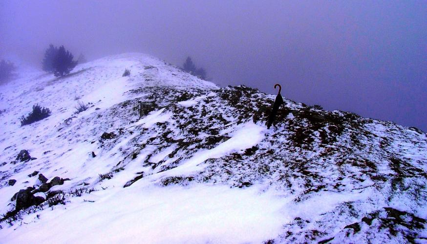 Paraplu in de sneeuw