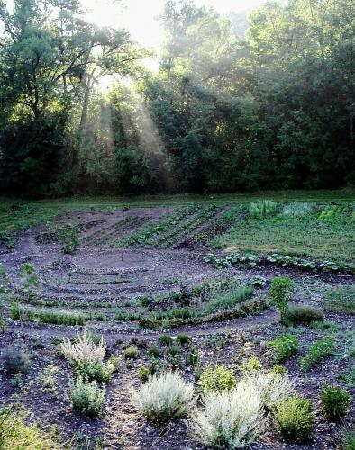 Dagboek herborist. Zomer in de Franse Drôme.