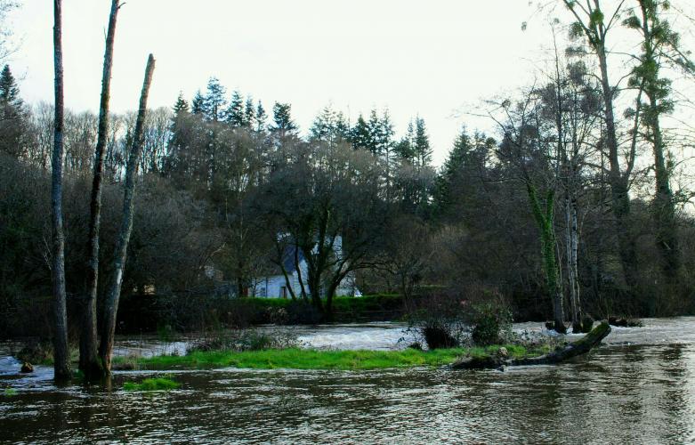 Het huis aan de rivier