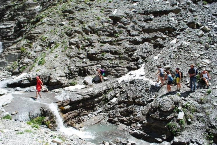 Kruiden-yogastage in Alpes de Haute-Provence