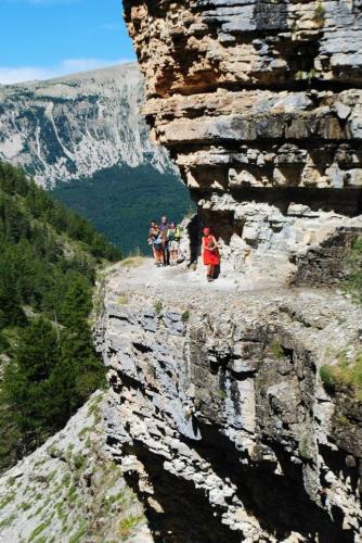 Kruiden-yogastage in Alpes de Haute-Provence