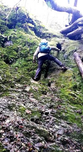 Klimmen in de Colebi