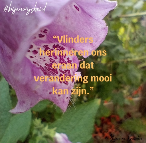 bijenwijsheid