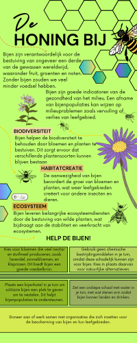 Bijen en kruiden