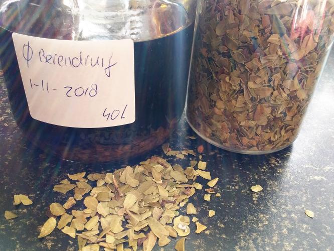 Blaasontsteking en sex