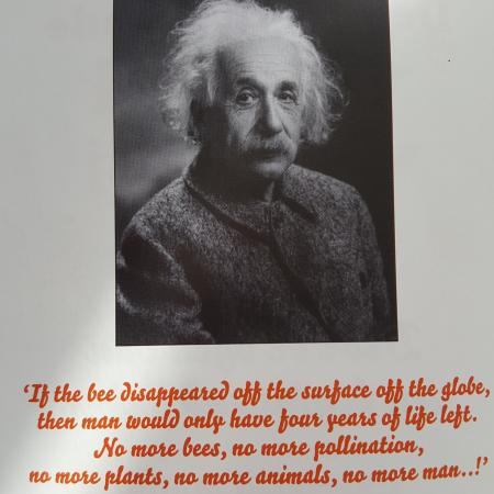 Pollination #BIJblij