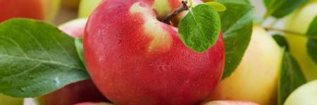 10 Impressive Health Benefits of Apples