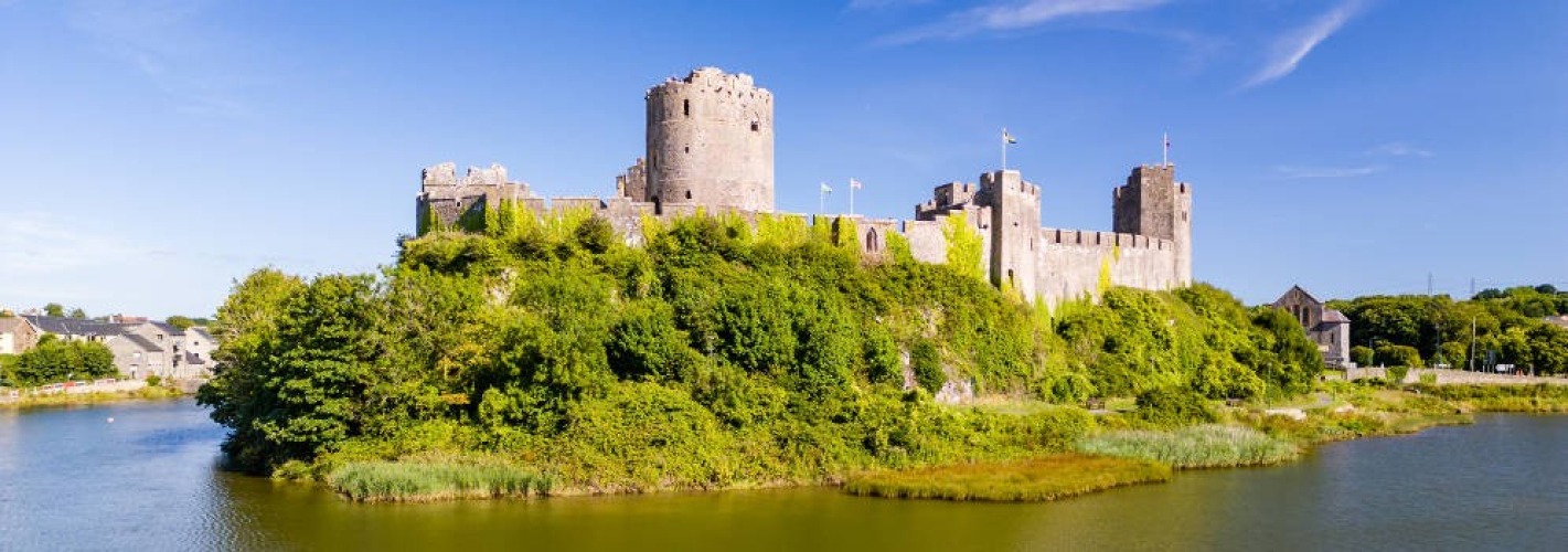 South West Wales: birdwatching and young seals, walking and the cliffs as a powerful backdrop