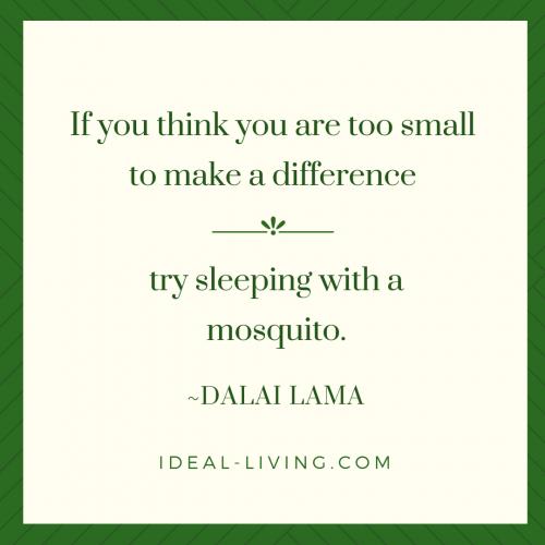 <a class="removable-mention" translate="no" data-mentionid="149850" href="/useroverview/149850/Zoet%20Hongaars%20Leven">@Zoet Hongaars Leven</a>