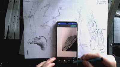 Making of my profile picture:)