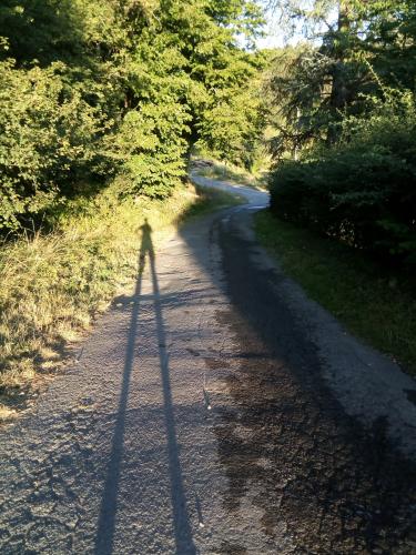 De schaduw in het zonlicht