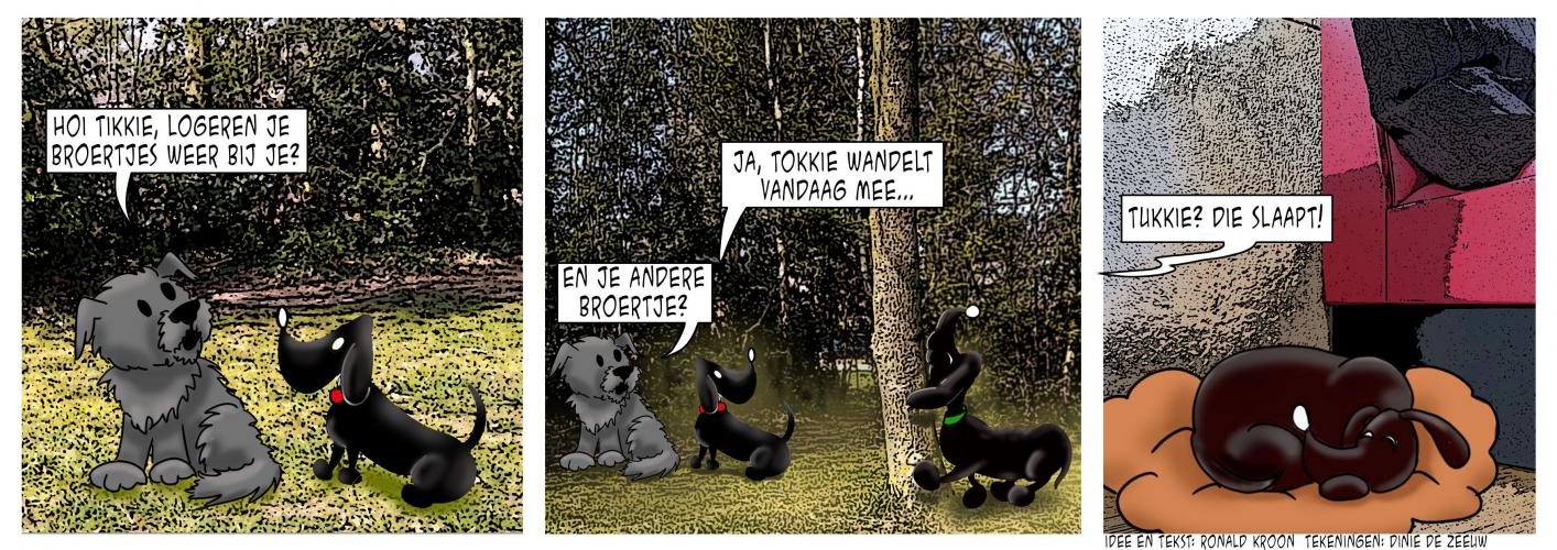 Tikkie krijgt visite