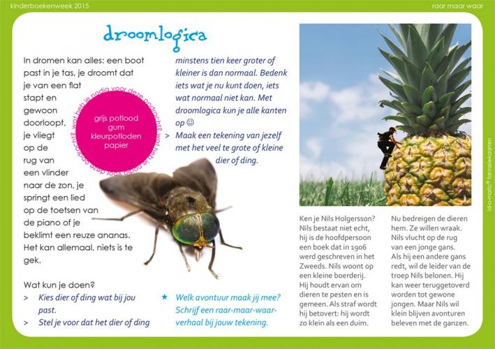 Tekenopdracht: Droomlogica