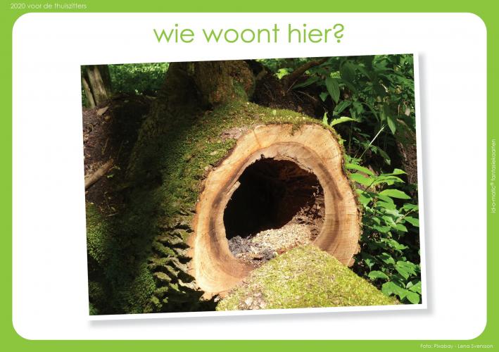 Tekenopdracht: Wie woont hier?