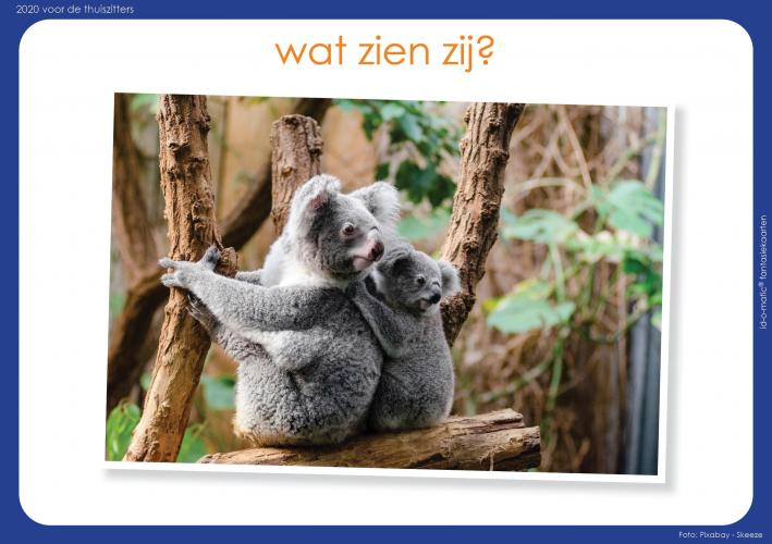 Tekenopdracht: Wat zien zij?