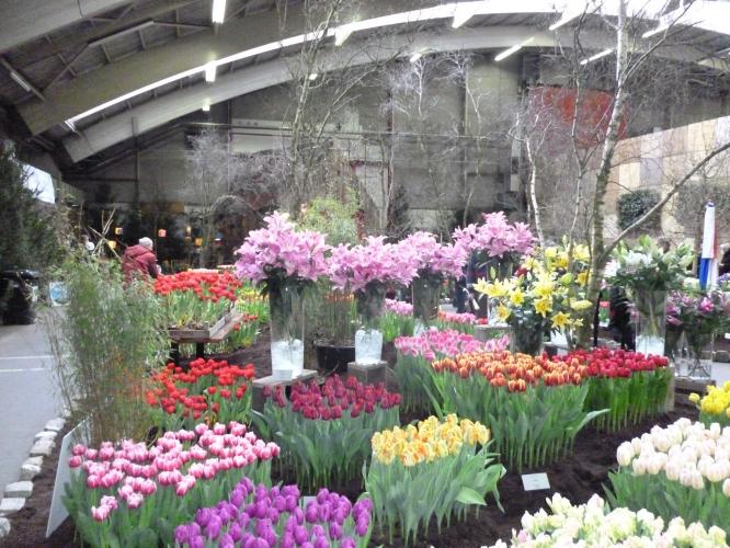 YoorsCoronaPositiveChallenge