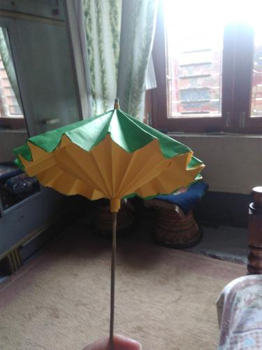 My lockdown activity