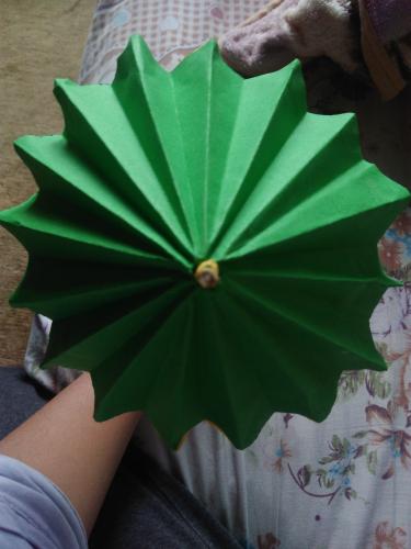 My lockdown activity