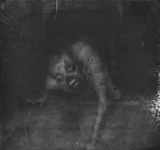 Relatos Nocturnos (6)