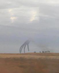 Relatos Nocturnos (26)