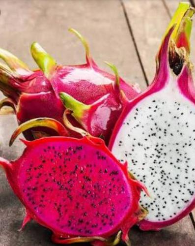 Are the fruits we know the only ones?