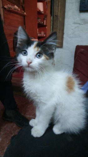 Nunca solo.  Se que se sufre hoy,que la angustia gana en días ...pero hay momentos donde uno simplemente se olvida que tiene un corazoncito más en la casa ....no estás solo!!,estás con la mejor compañía!!!