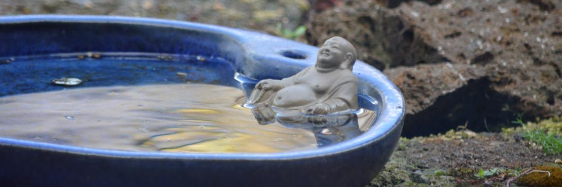 bird bath buddha