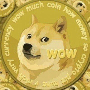 how the doge changed the lives of many