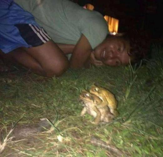 Estudiante de veterinaria