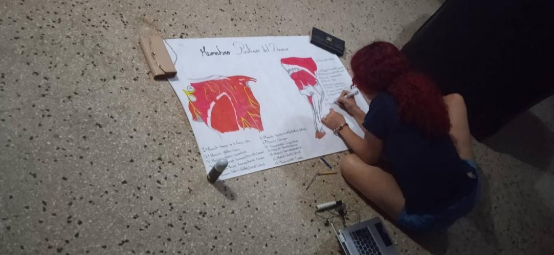 Preparing for my anatomy exhibition