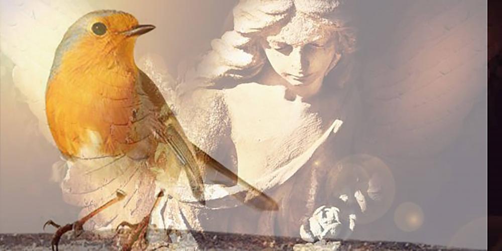 Hatred And Insecurity