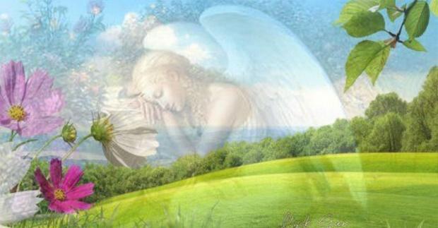 Ángeles Del Amor Divino