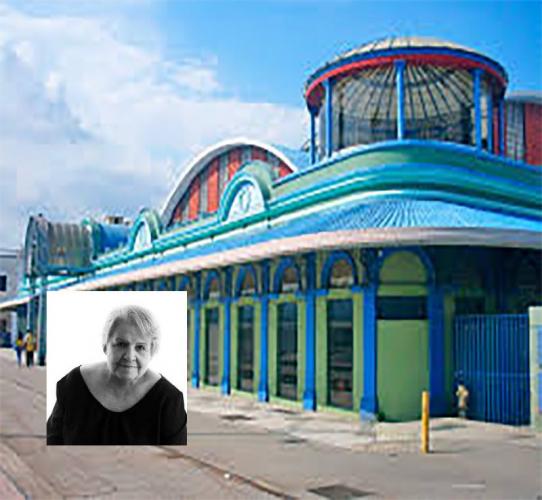 Museo De Arte LÍa BermÚdez