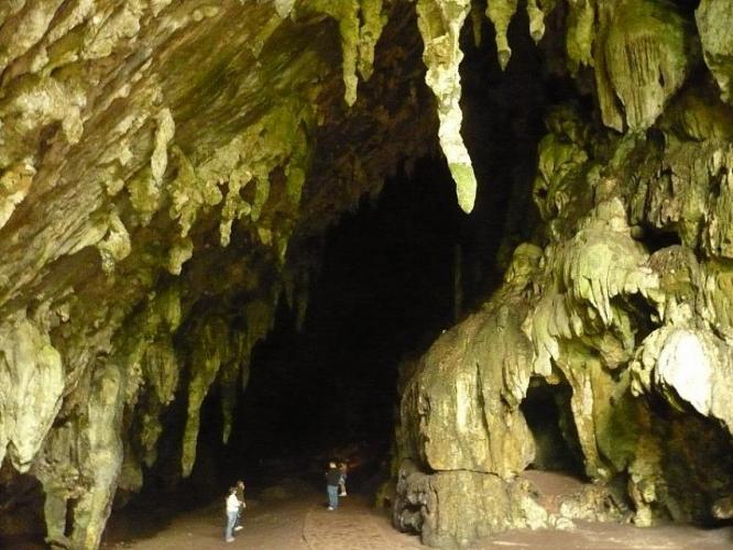 Parque Nacional Cuevas Del GuÁcharo