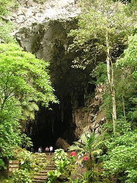 Parque Nacional Cuevas Del GuÁcharo